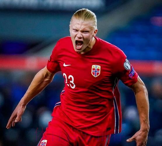 最新世界杯葡萄牙哈兰德比赛解读权威解读 最新世界杯葡萄牙哈兰德比赛解读权威解读